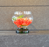 EVERGREEN SCHOOL SOCIAL